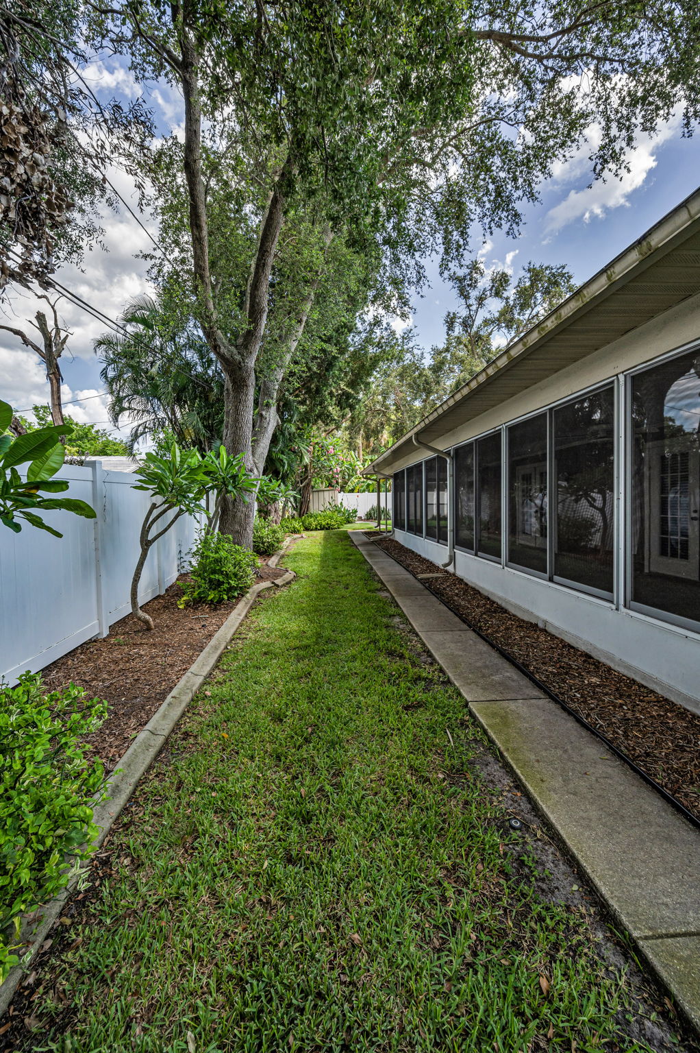 Backyard7