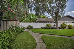 Backyard8