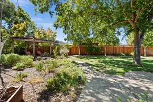 An elegant backyard sanctuary, boasting a large tree and a well-kept fence.
