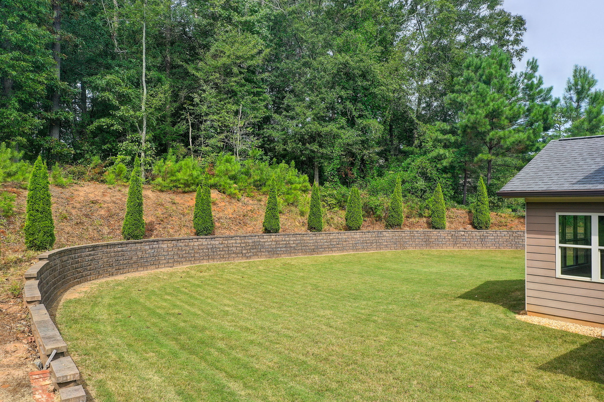39 Aerial Back Yard A
