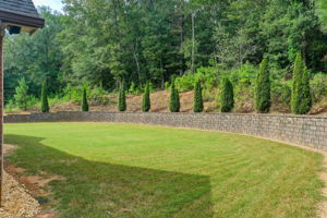 41 Aerial Back Yard C