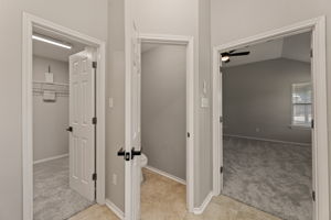  Photo 41