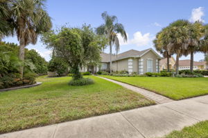Front Yard