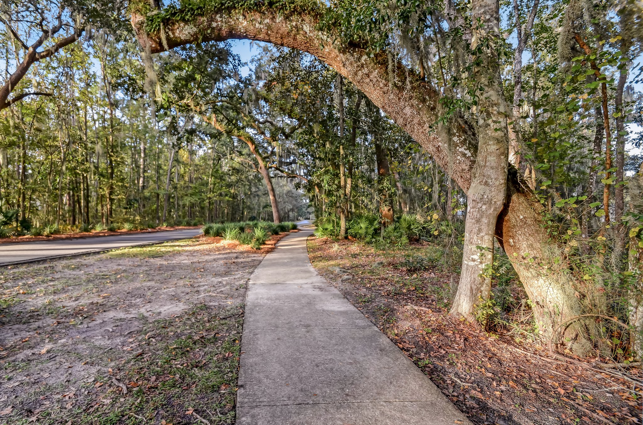 Sugarmill Plantation