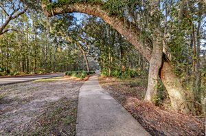 Sugarmill Plantation