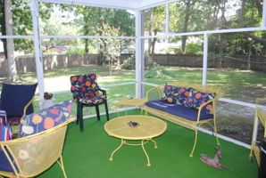  Photo 41