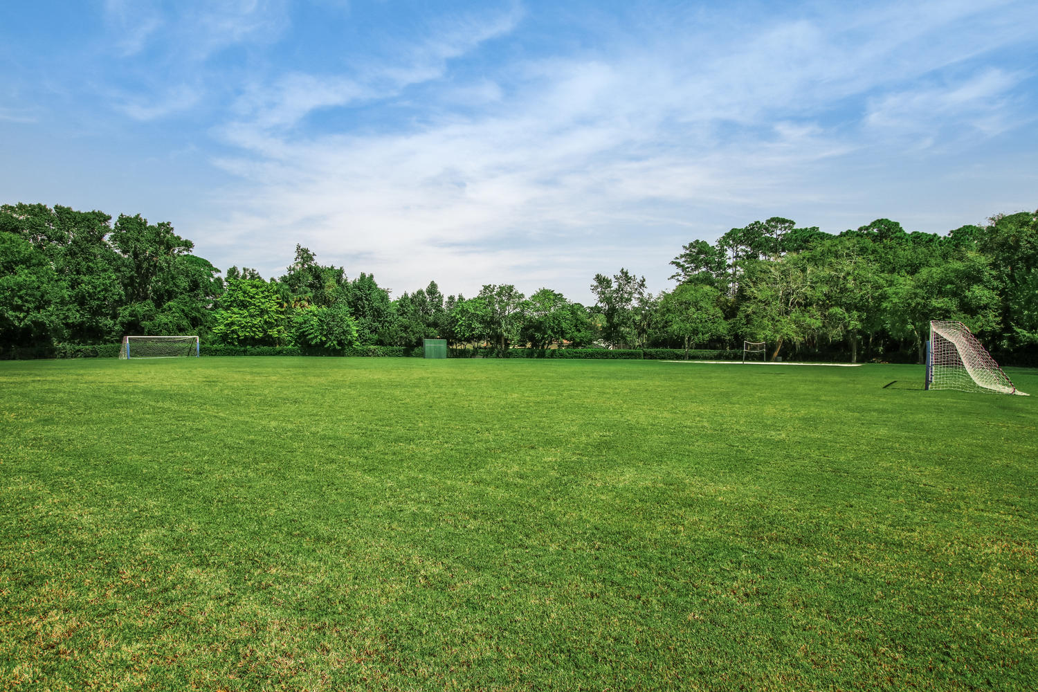 Marsh Landing