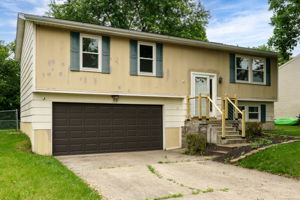  Photo 0