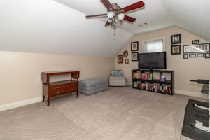 Bedroom/Bonus Room