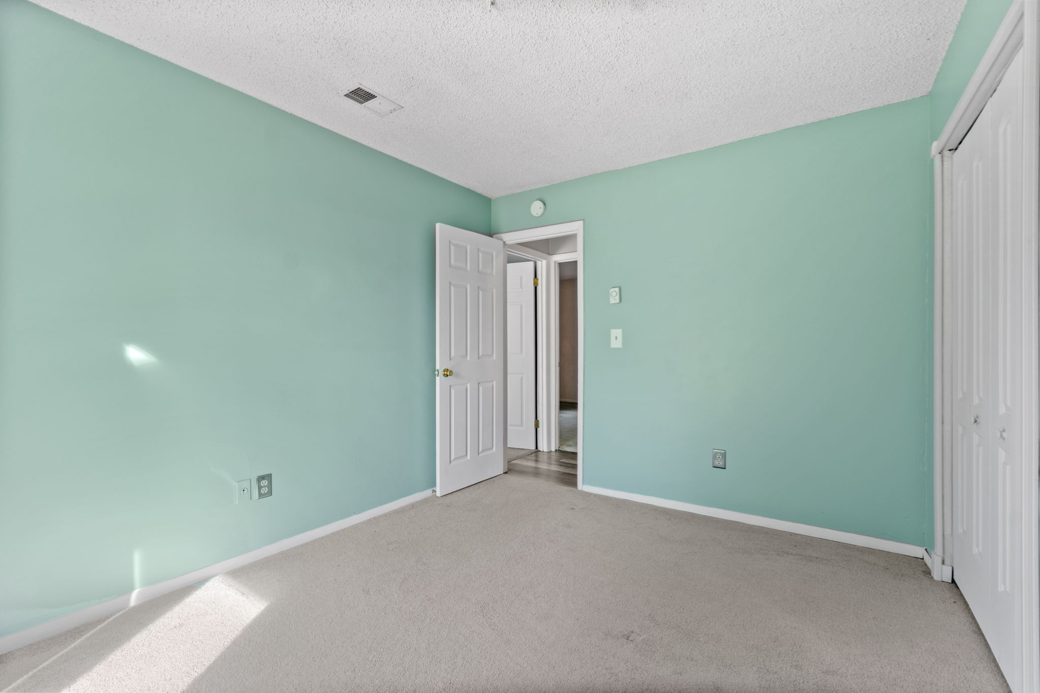 113 Osmond Dr, Taylors, SC 29687, USA Photo 25