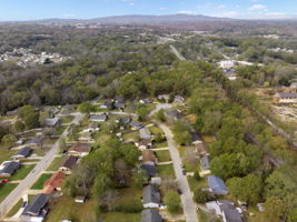 113 Osmond Dr, Taylors, SC 29687, USA Photo 35