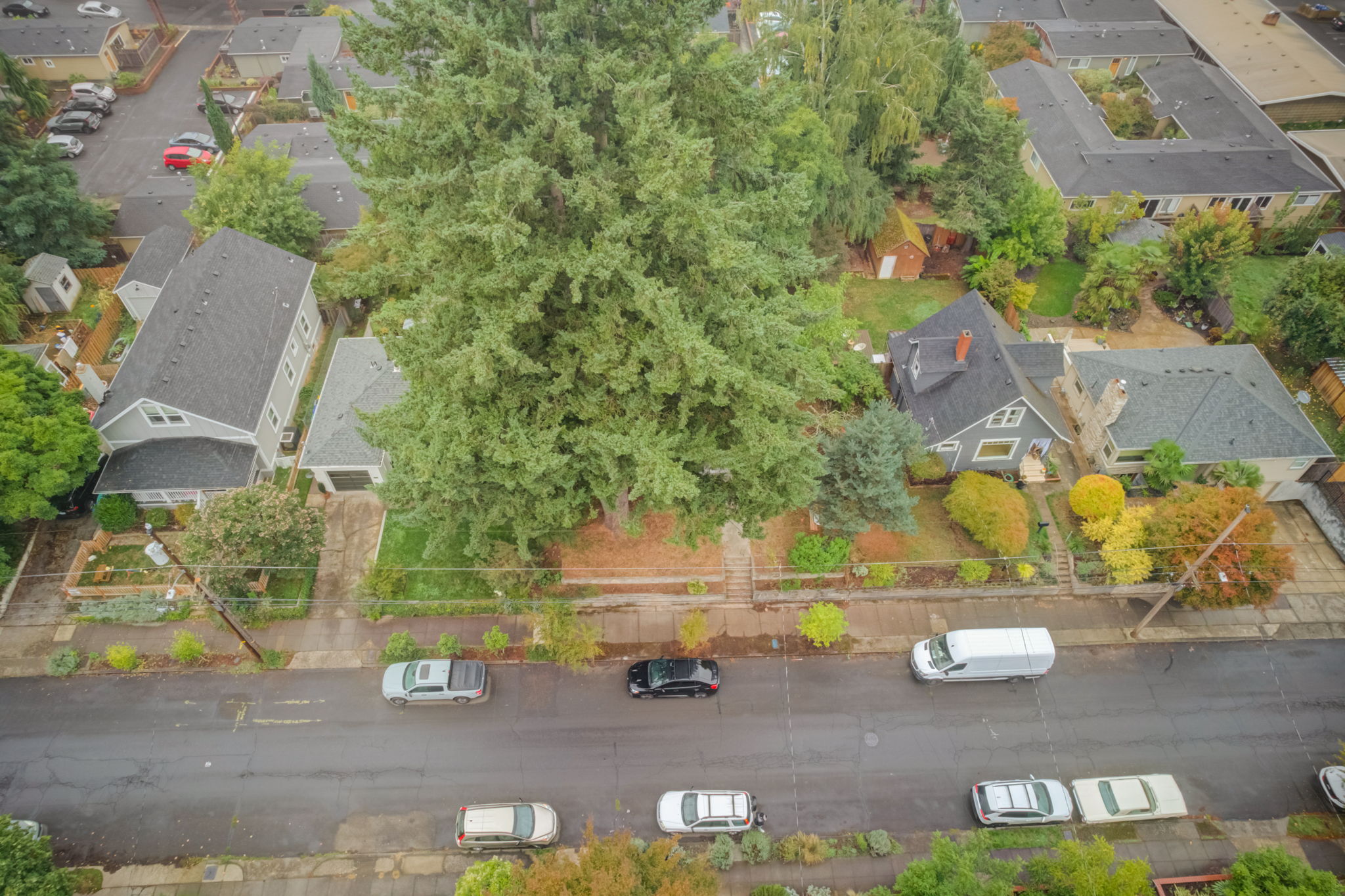 SE 74th Ave Portland -032