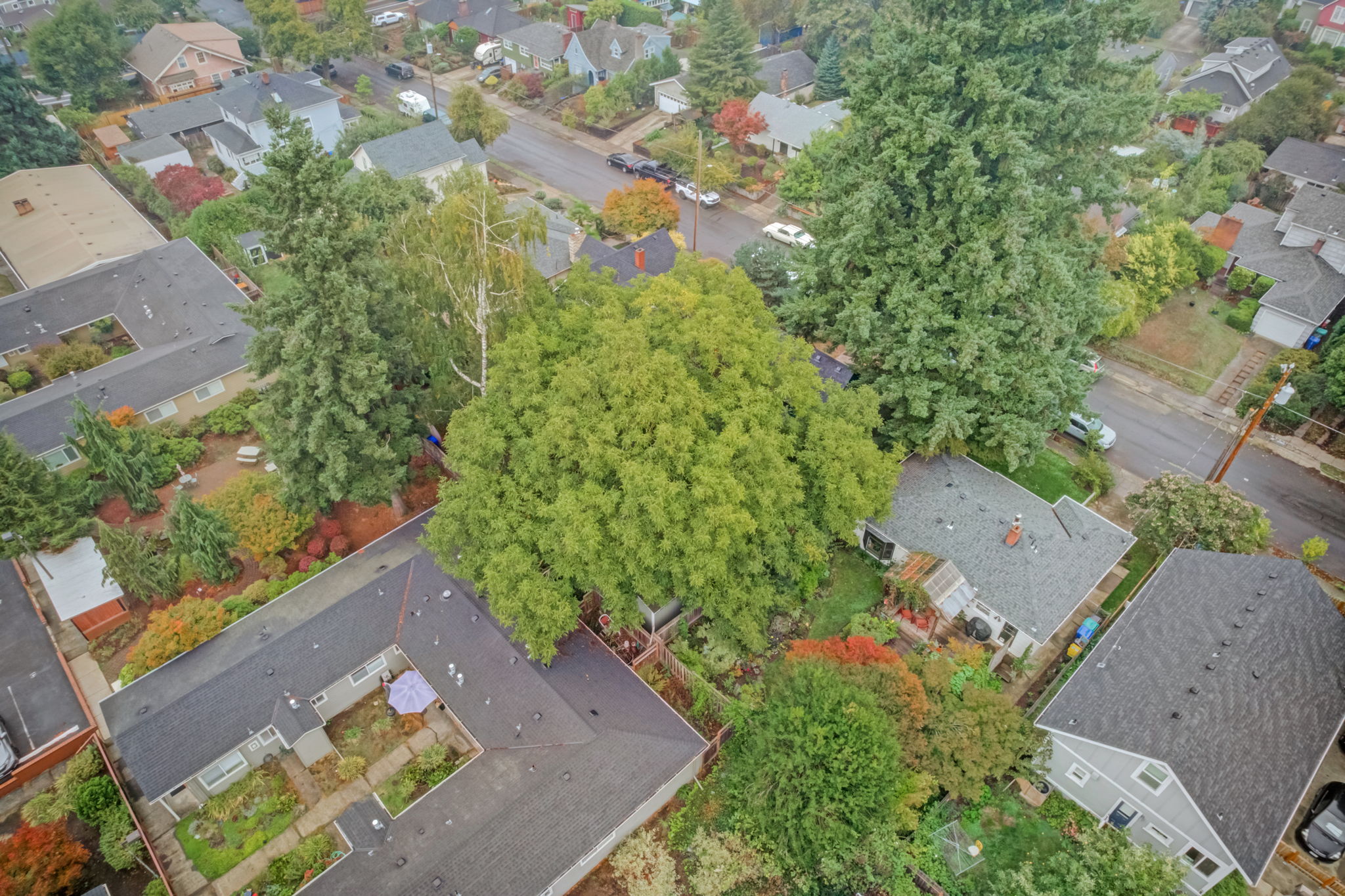 SE 74th Ave Portland -034