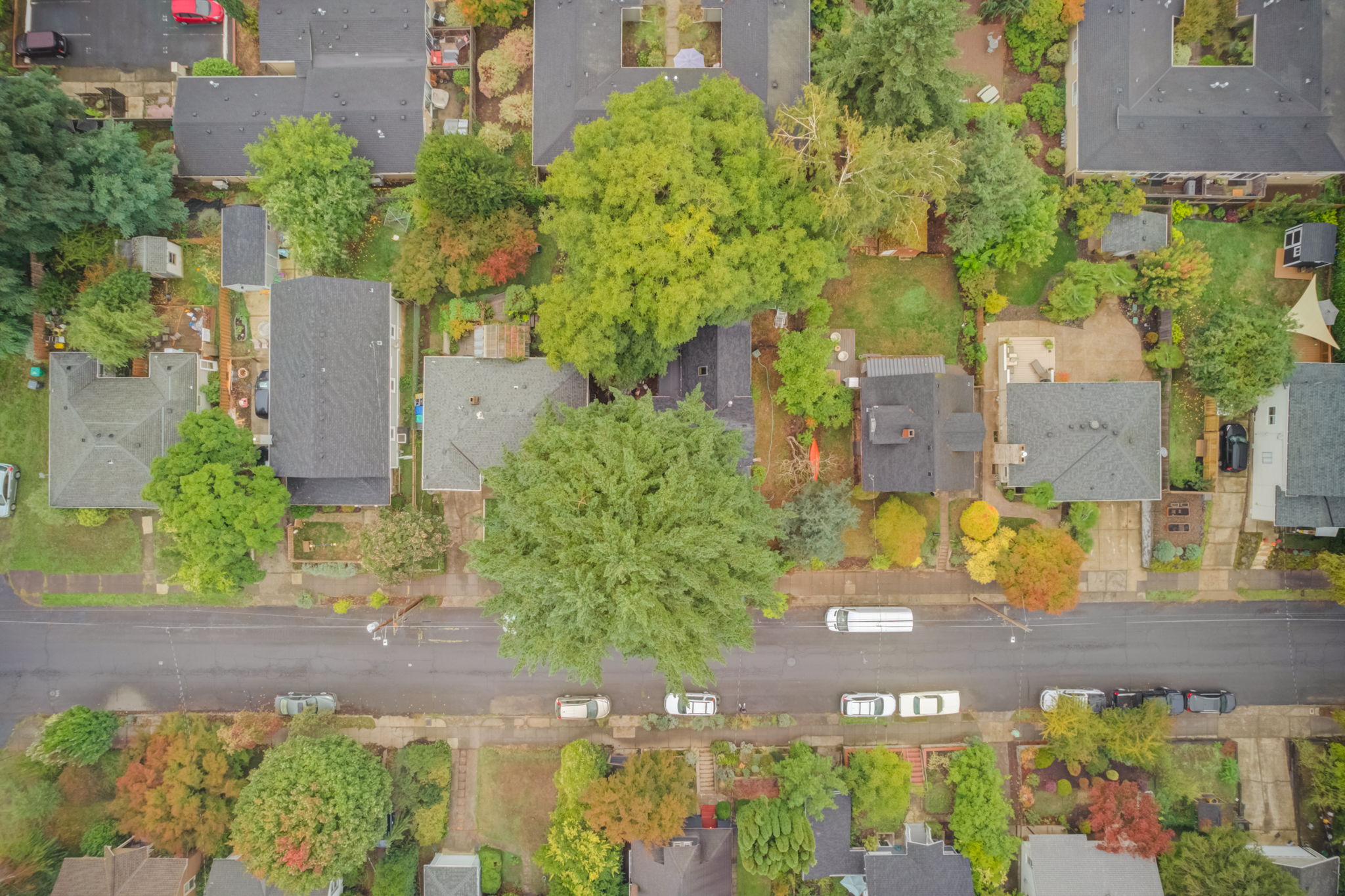 SE 74th Ave Portland -030