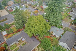 SE 74th Ave Portland -034