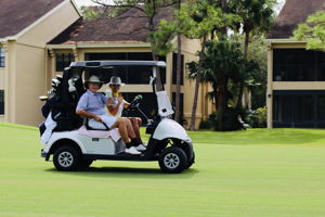 Community Ardea - Golfers on Cart