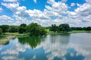 Community Pond