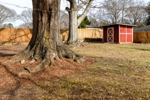 20260129_1130ncarter_godwin020