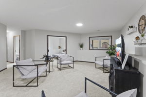 Lower Level Family Room