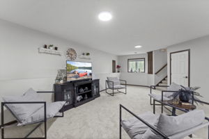 Lower Level Family Room