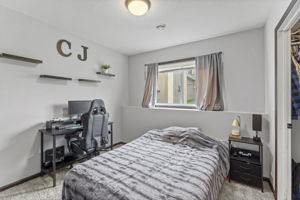 Lower Level Bedroom 3