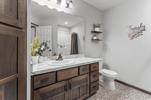 Lower Level Bathroom