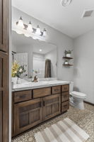 Lower Level Bathroom