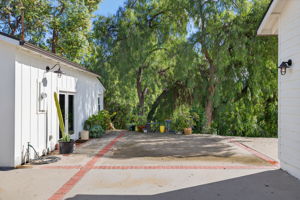  Photo 97