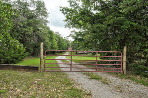  Photo 0