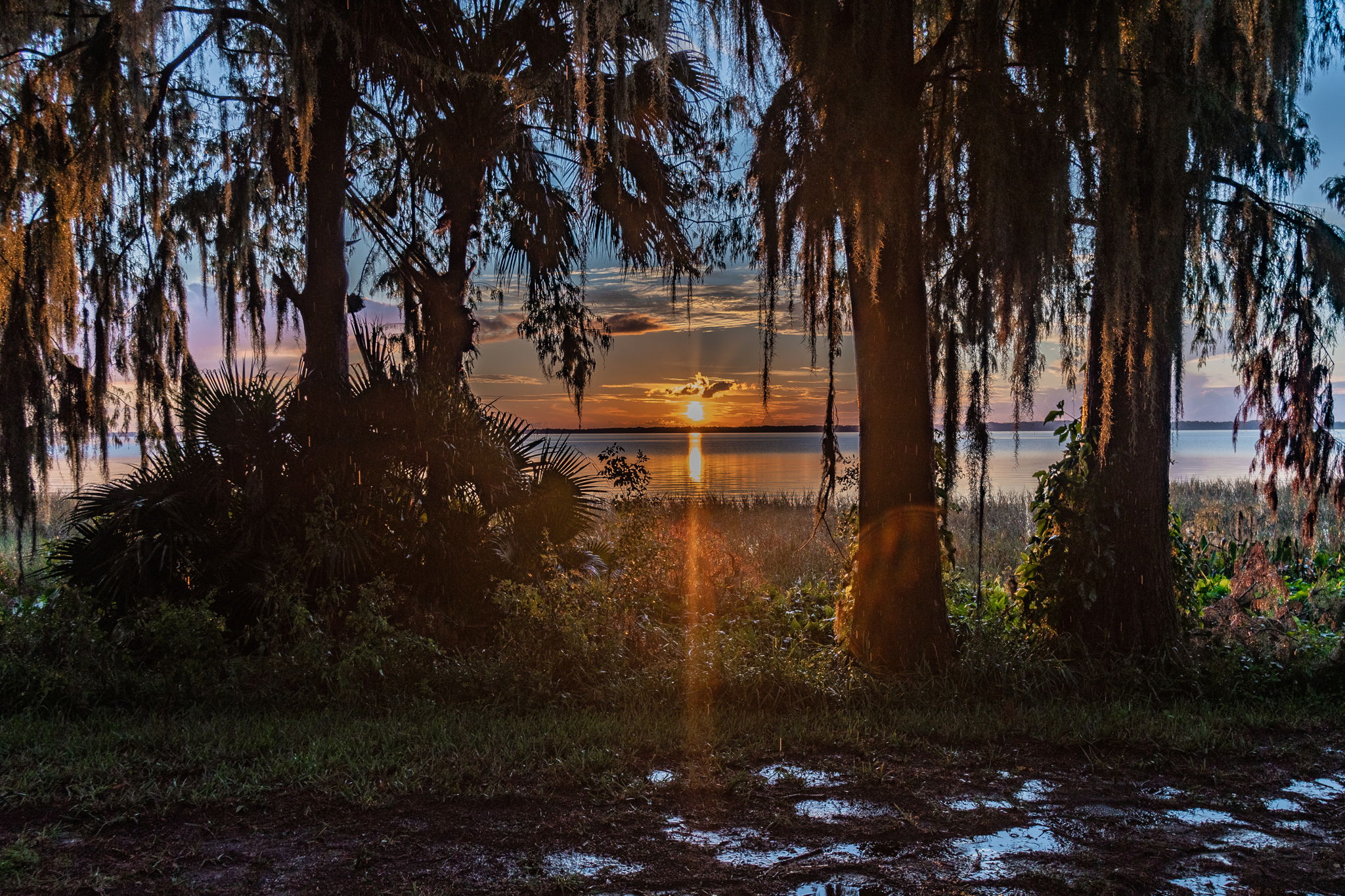 DSC_5858