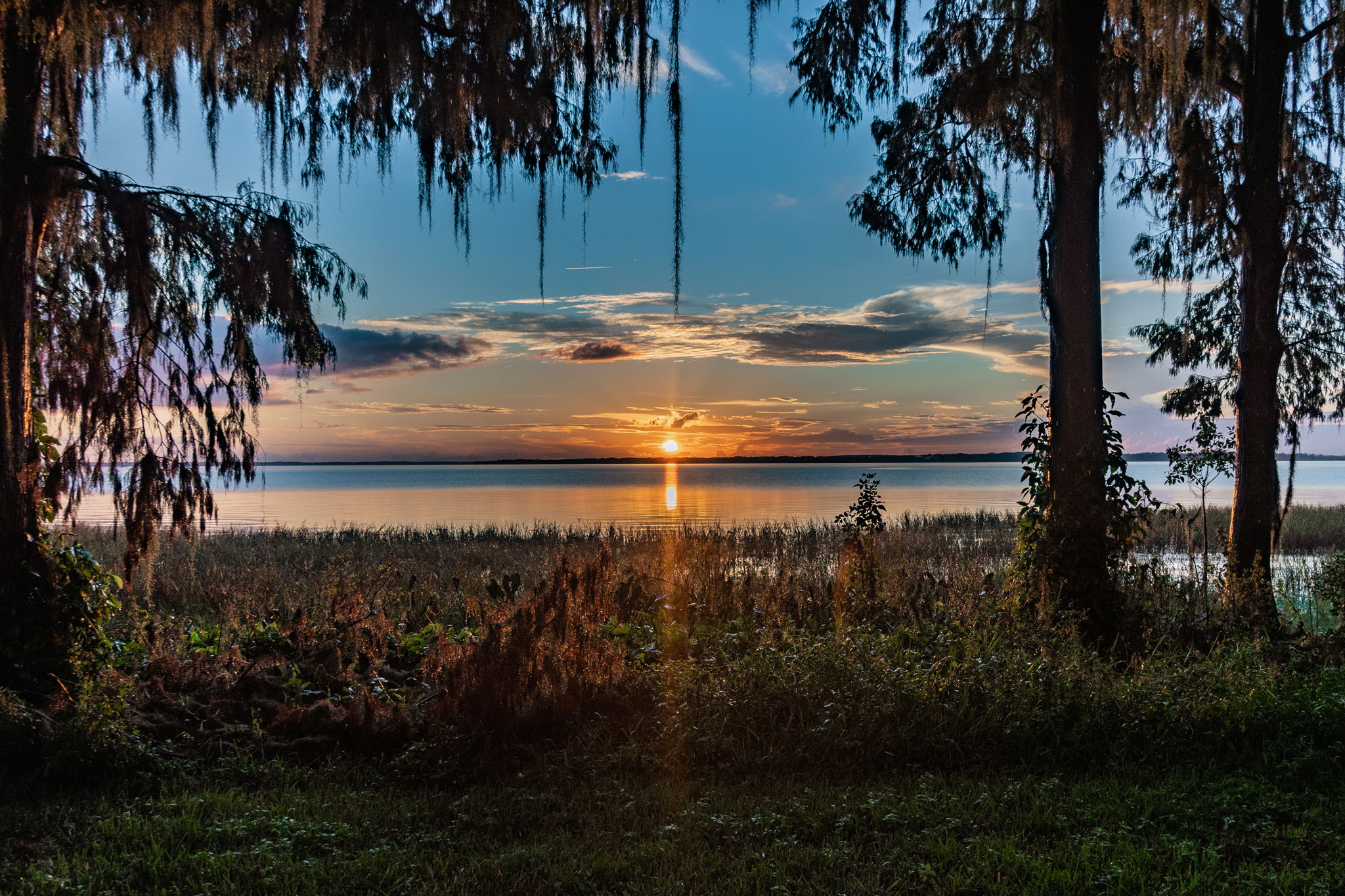DSC_5864