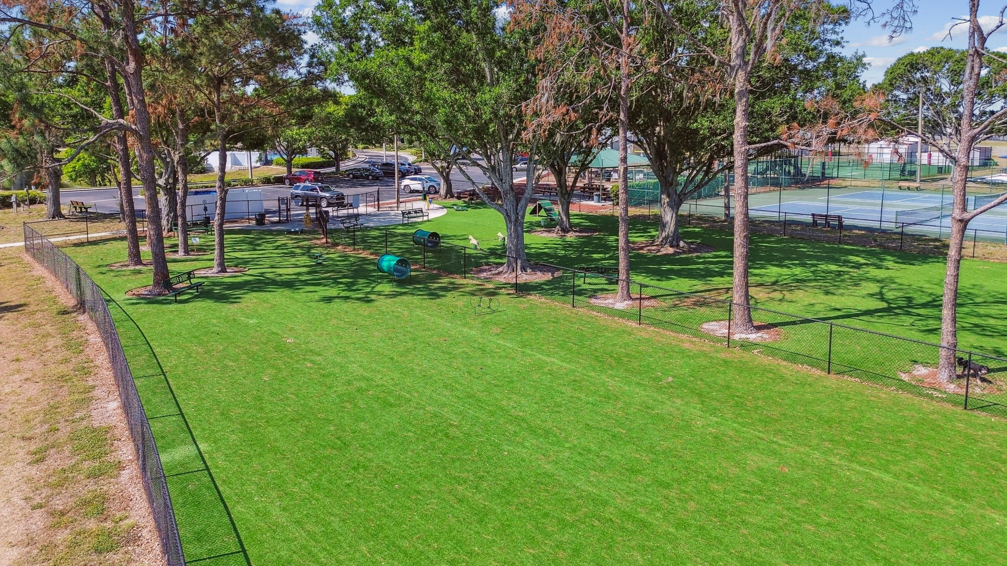 DJI_0323