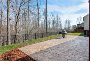 36-Patio and Back Yard