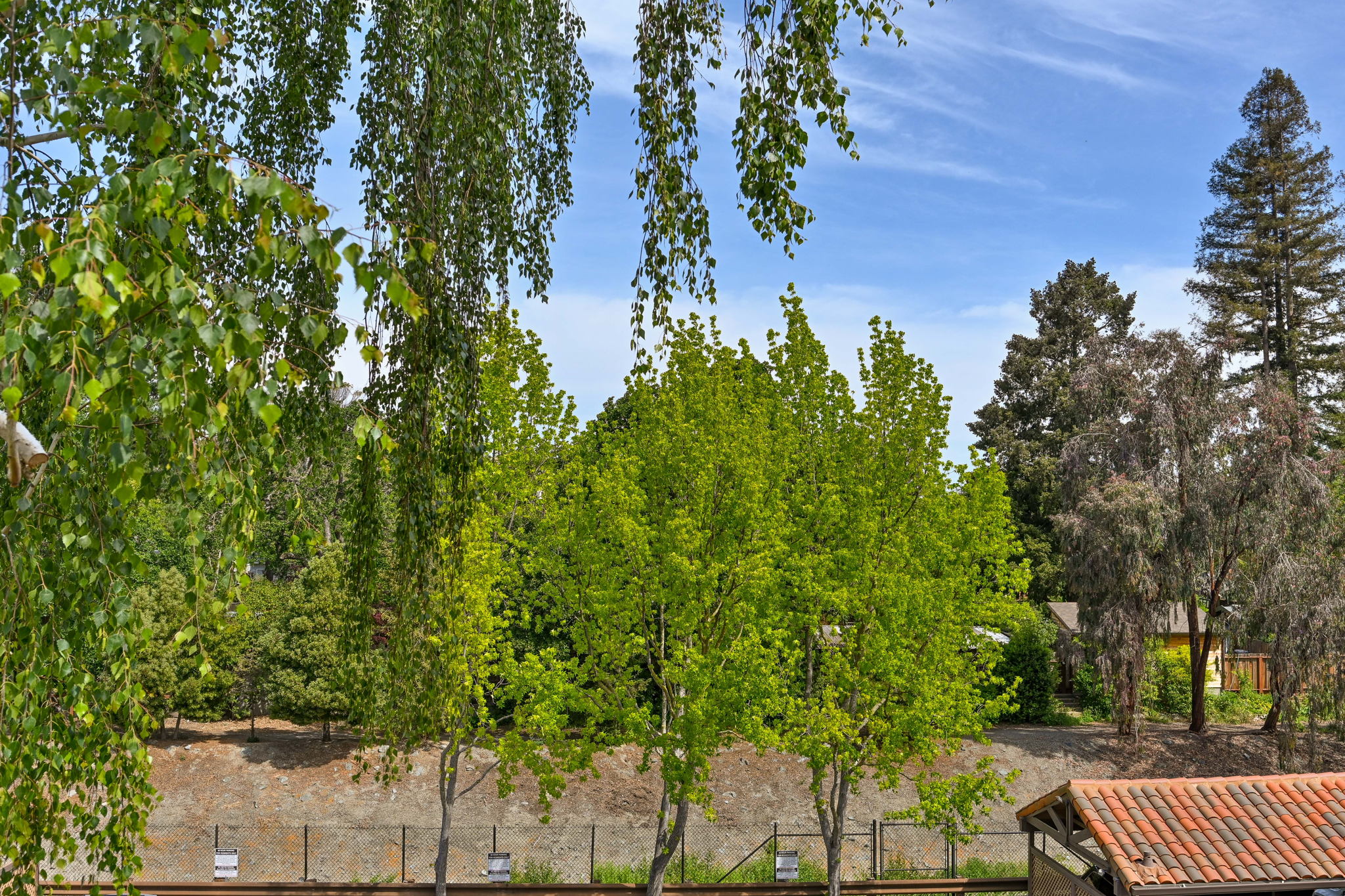 1131 S Villa Way, Walnut Creek, CA 94595, USA Photo 8