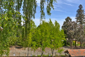 1131 S Villa Way, Walnut Creek, CA 94595, USA Photo 7