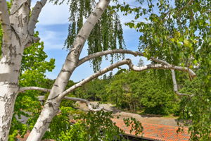 1131 S Villa Way, Walnut Creek, CA 94595, USA Photo 8