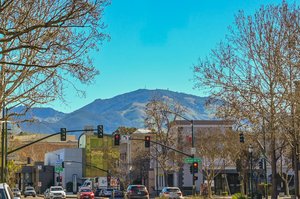 1131 S Villa Way, Walnut Creek, CA 94595, USA Photo 23