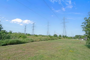  Photo 50
