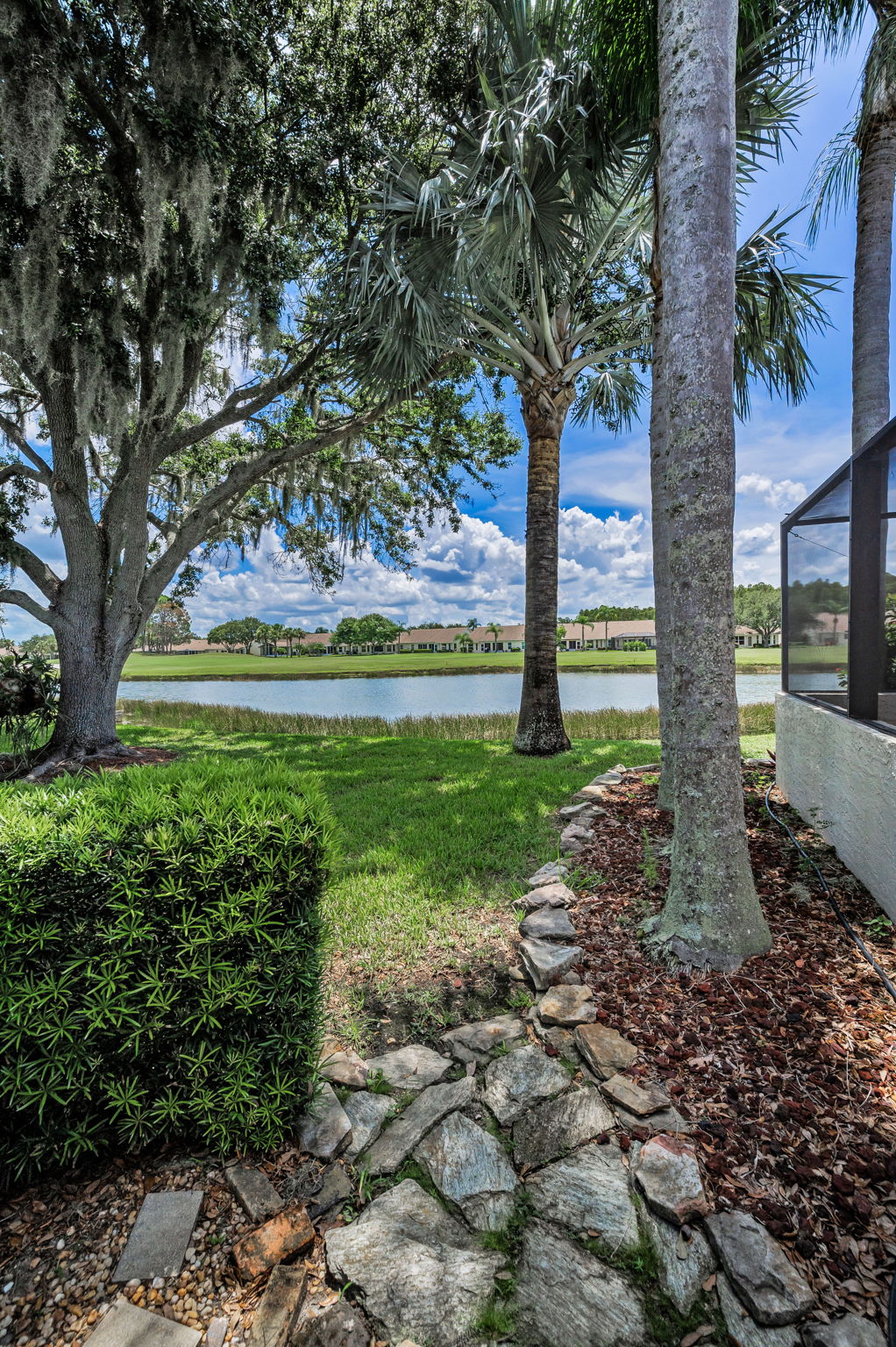 Backyard2
