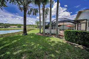 Backyard1