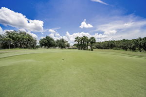 Golf Course4