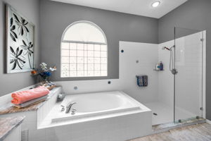 Primary Bathroom1b