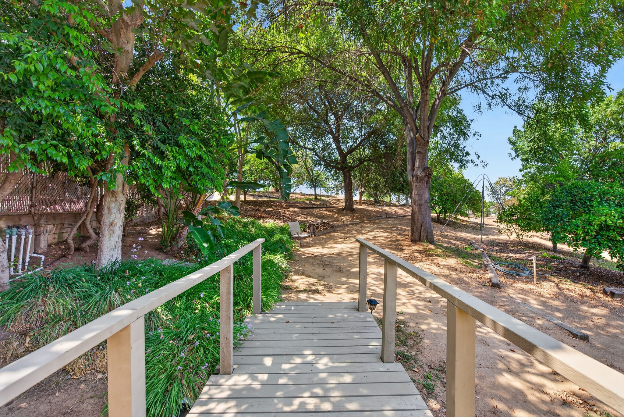  Photo 35