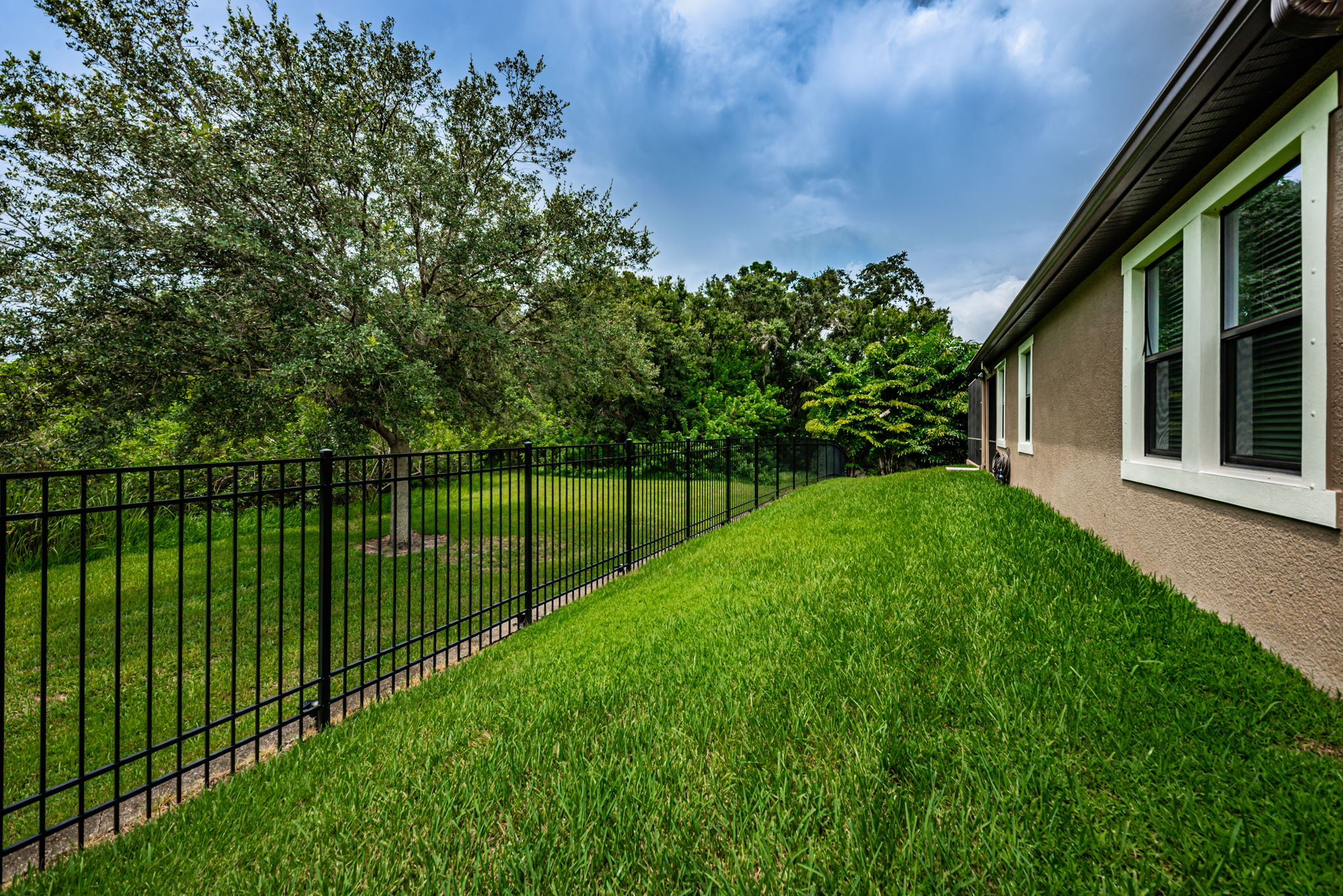 Fenced Yard1