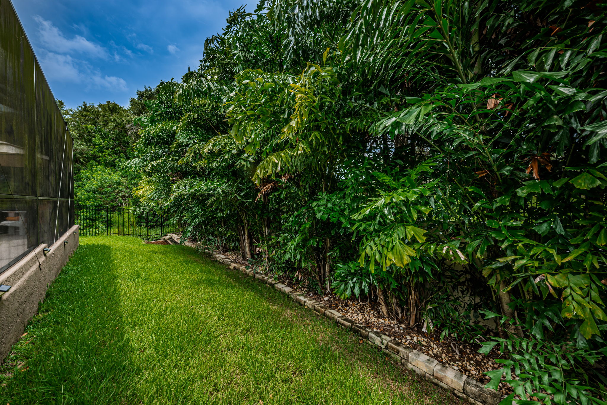Fenced Yard5