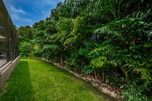 Fenced Yard5