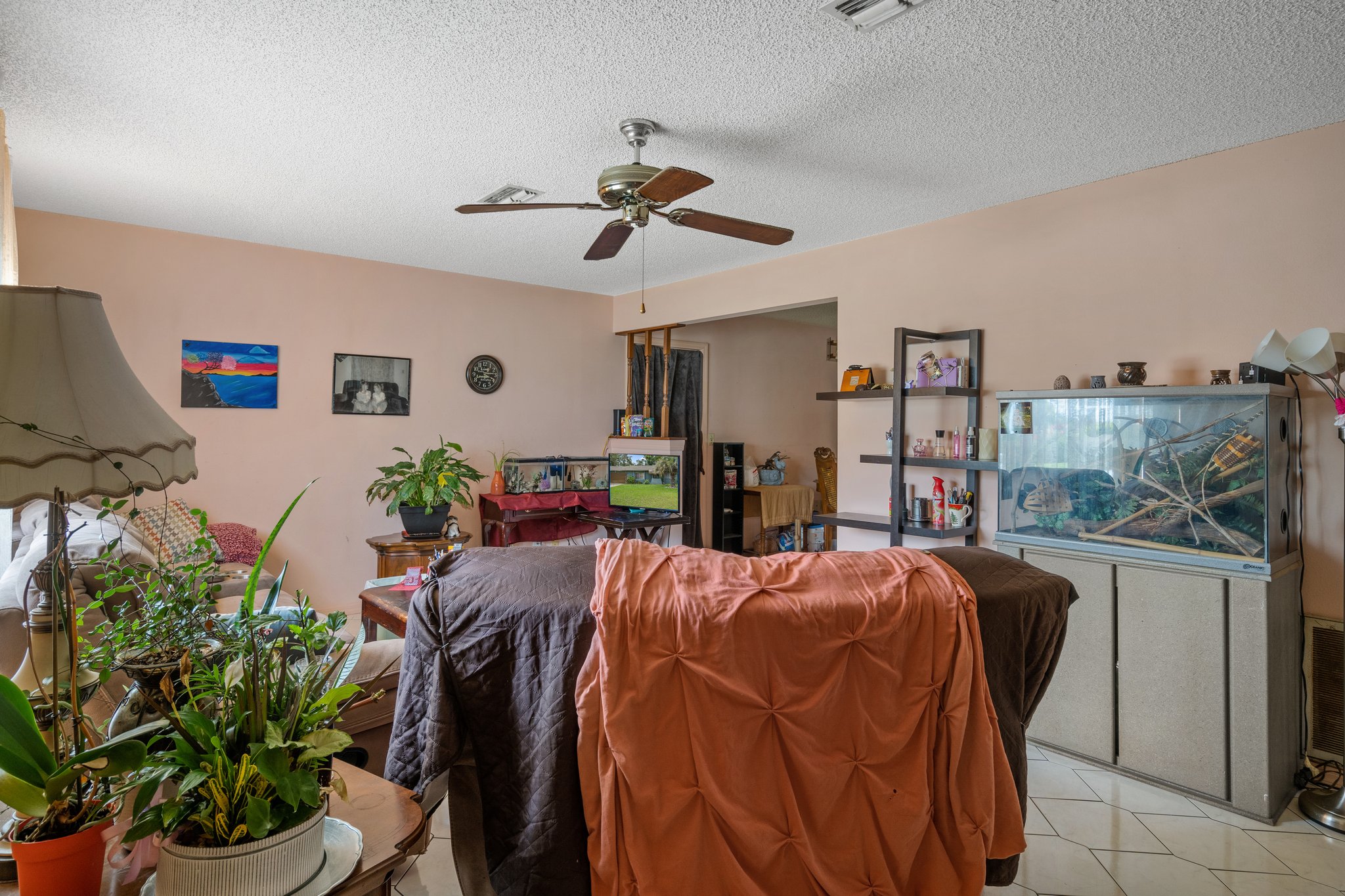 11321 Norvell Rd, Spring Hill, FL 34608, USA Photo 5