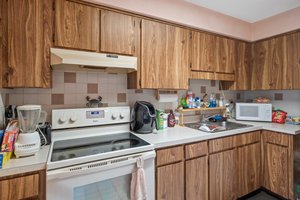 11321 Norvell Rd, Spring Hill, FL 34608, USA Photo 8