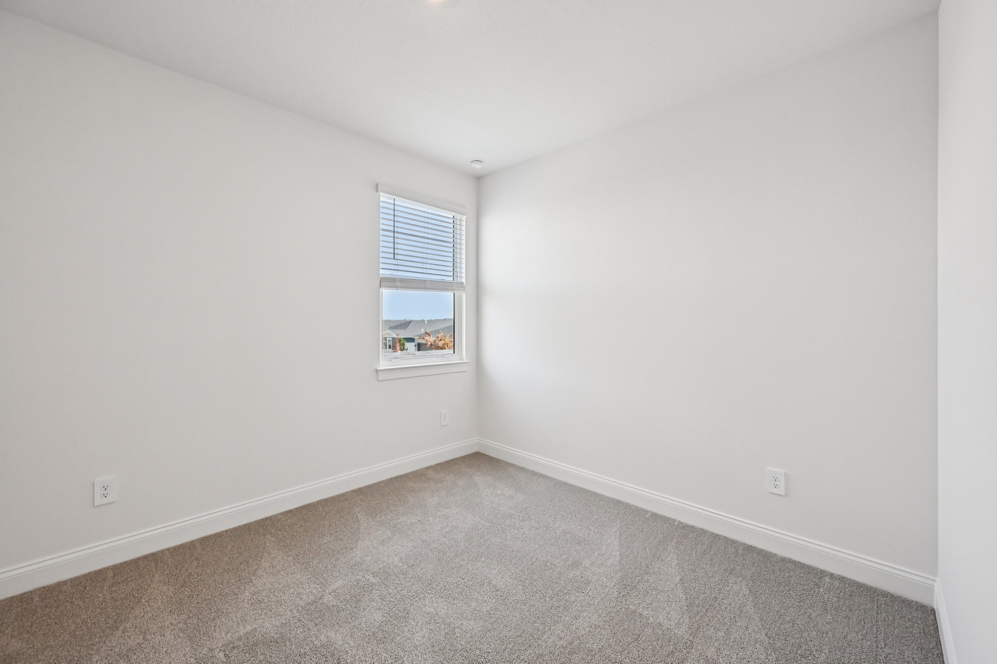 Blockbird Dr-S2702-031.jpg