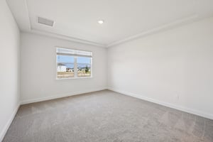 Blockbird Dr-S2702-018.jpg